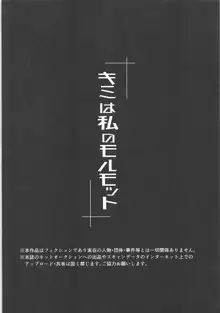 キミは私のモルモット, 日本語