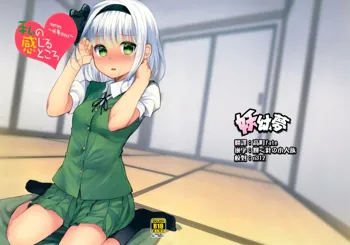 Youmu Days ~Watashi no Kanjiru Tokoro~, 中文