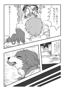 Dog TF, 日本語