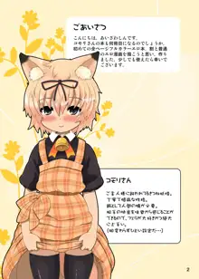 こもりさんのほん, 日本語