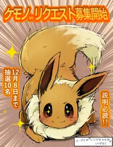 Eeveelutions Collection, 日本語