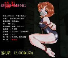 舶来少女シリーズ, 日本語