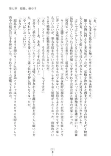 エルフの国の宮廷魔導師になれたので姫様に性的な悪戯をしてみた2, 日本語