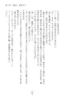 エルフの国の宮廷魔導師になれたので姫様に性的な悪戯をしてみた2, 日本語