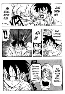 Dragon Ball H 03, English