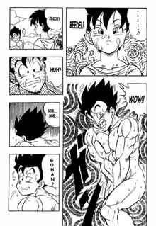 Dragon Ball H 03, English