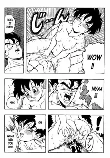 Dragon Ball H 03, English