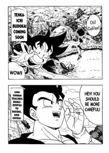 Dragon Ball H 03, English