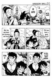 Dragon Ball H 03, English