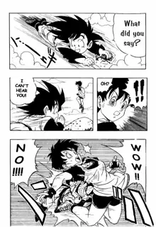 Dragon Ball H 03, English