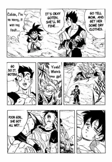 Dragon Ball H 03, English