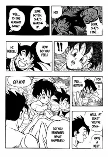 Dragon Ball H 03, English