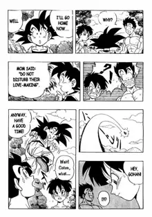 Dragon Ball H 03, English