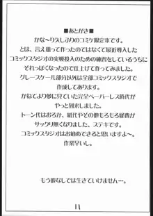 忍法らんちき騒ぎ!, 日本語