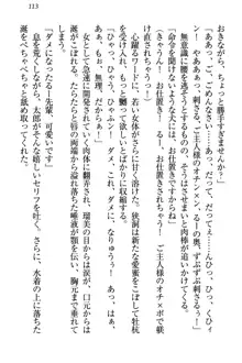 僕とるー先輩の放課後調教日誌 今日も私を躾けなさいっ!, 日本語