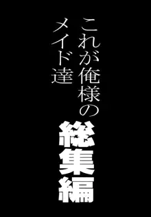 これが俺様のメイド達総集編, 日本語