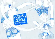 SAILOR MOON! in SANDWORKS, 日本語