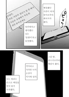 Anata no Nozomi vol. 1 ~Mail Hen~ |  너의 소망 ~메일 편~, 한국어