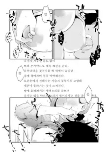 Anata no Nozomi vol. 1 ~Mail Hen~ |  너의 소망 ~메일 편~, 한국어