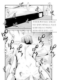 Anata no Nozomi vol. 1 ~Mail Hen~ |  너의 소망 ~메일 편~, 한국어