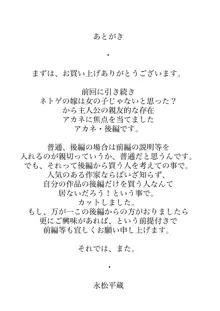 ネトゲの元嫁は肉便器じゃないと思った?, 日本語