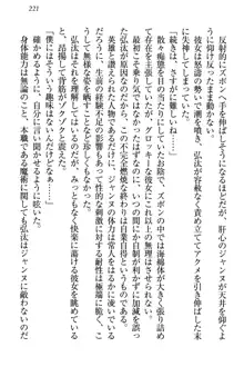 ジャンヌ・ダルクですが召喚されて邪メイドやってます, 日本語