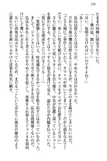 ジャンヌ・ダルクですが召喚されて邪メイドやってます, 日本語