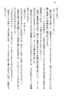 ジャンヌ・ダルクですが召喚されて邪メイドやってます, 日本語