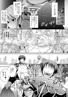 エルフの国の宮廷魔導師になれたので姫様に性的な悪戯をしてみた THE COMIC, 日本語