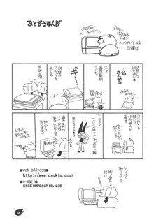 Nana-chan's Fan Book, 日本語