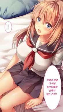 Fall into... -Osananajimi ga Netorareru- | 소꿉친구를 빼앗기다, 한국어