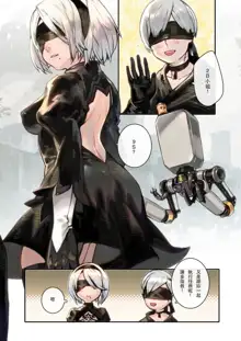 2B9S, 中文