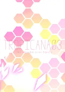 TROPICANA 03, 中文