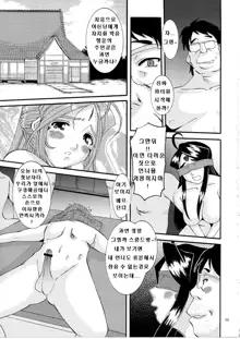 Nightmare of My Goddess Vol. 8, 한국어