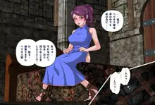 魔道士の塔 ～囚われの姫～, 日本語