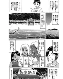 夏体験物語, 日本語