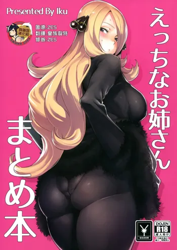 Ecchi na Onee-san Matome Hon, 中文