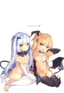 Boku wa Chiisana Succubus no Shimobe, 中文