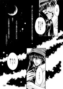 主姫漫画, 日本語