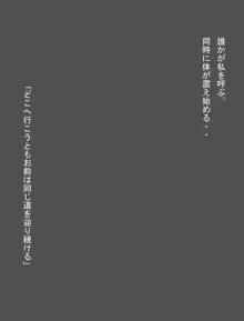 DRAGONROAD13, 日本語