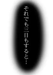 その人とはセックスするだけです。, 日本語