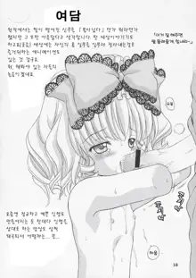 Ningyou Ai ~Pygmalion Complex~, 한국어