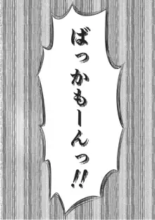 戦車道の裏道 サンダース大学附属高校, 日本語