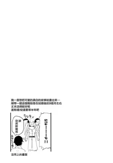 Shiragasane -Tojinawa-, 中文