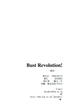 Bust Revolution!, English