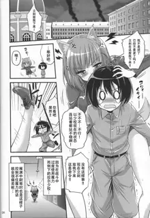 Onee-chan to Shota no Witch Night, 中文