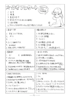 シベール Vol.3, 日本語