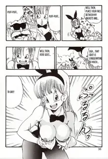 Episode of Bulma, English