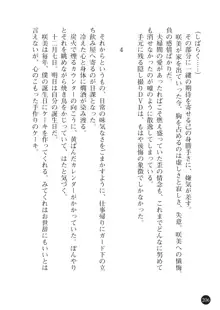 ヤブヌマ2 他人棒に啼かされる君が愛しくて, 日本語