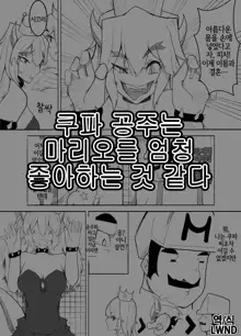 Koopahime wa Mario Daisuki da to Omou | 쿠파 공주는 마리오를 엄청 좋아하는 것 같다, 한국어